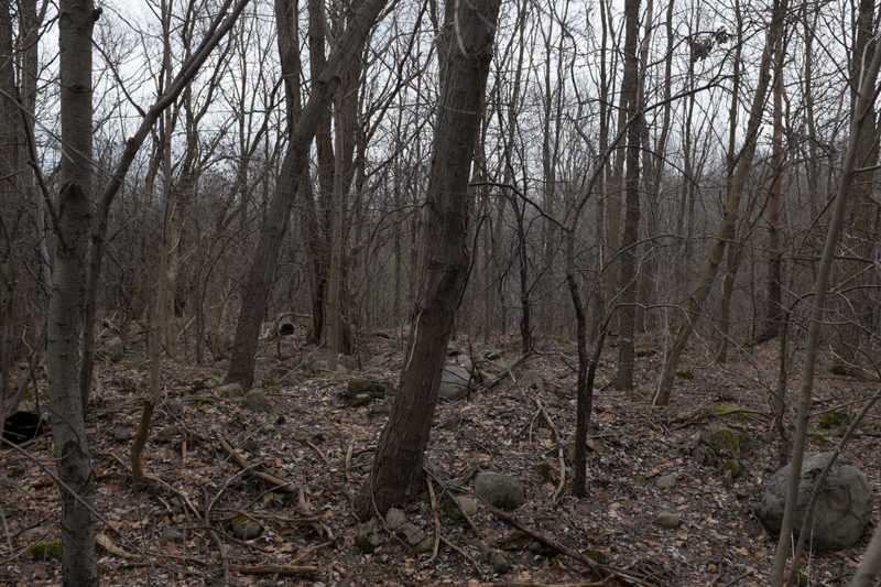 Illustration for article titled Field Test: Fujifilm's X100T Is the Most Amazing Camera I'd Never Buy
